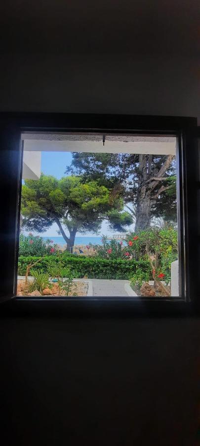 Apartamento Frente Al Mar Alcossebre Buitenkant foto